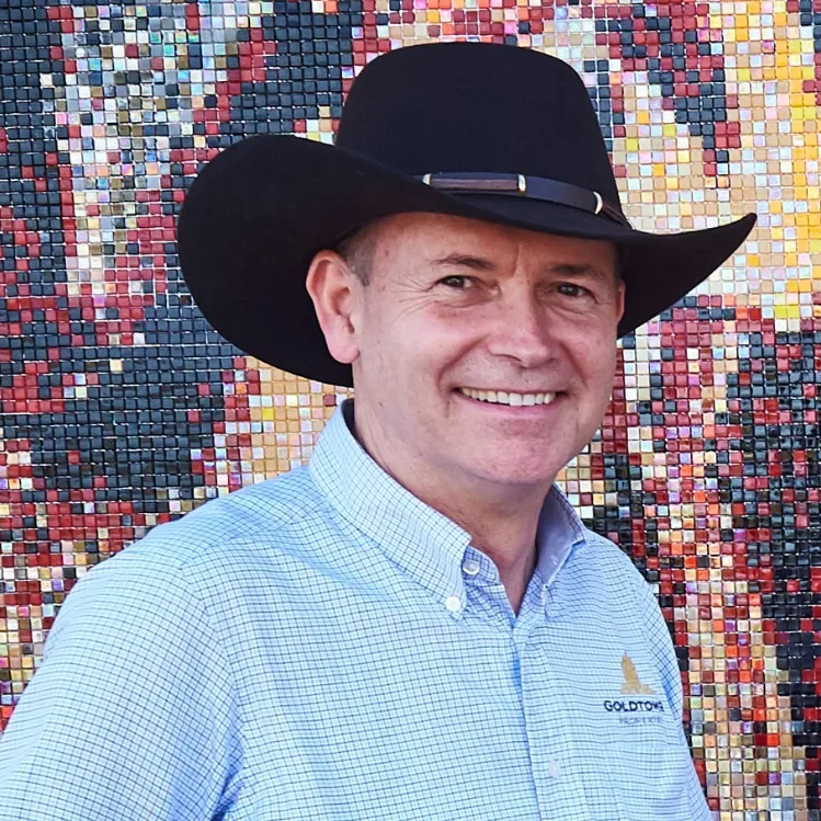 Paul McIver, Goldtower Properties